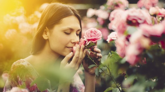 Stop And Smell the Roses